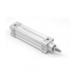 Пневмоцилиндр PNY-40-125 Pemaks
